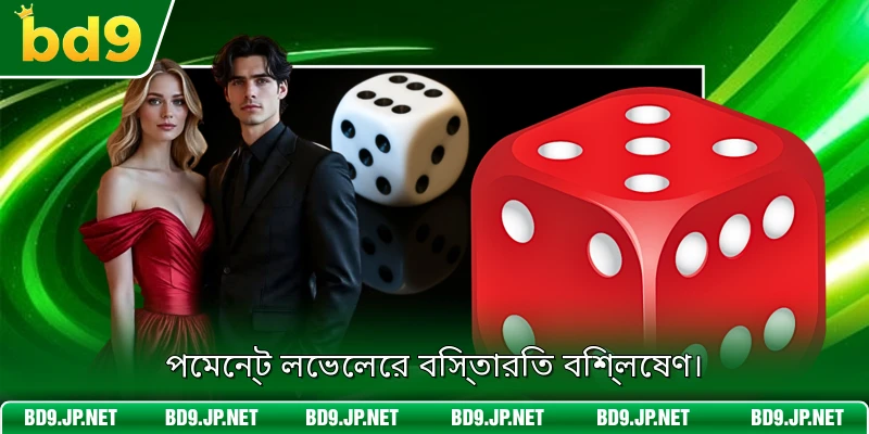 পেমেন্ট লেভেলের বিস্তারিত বিশ্লেষণ।